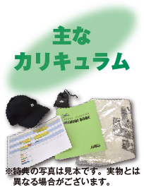 主なカリキュラム